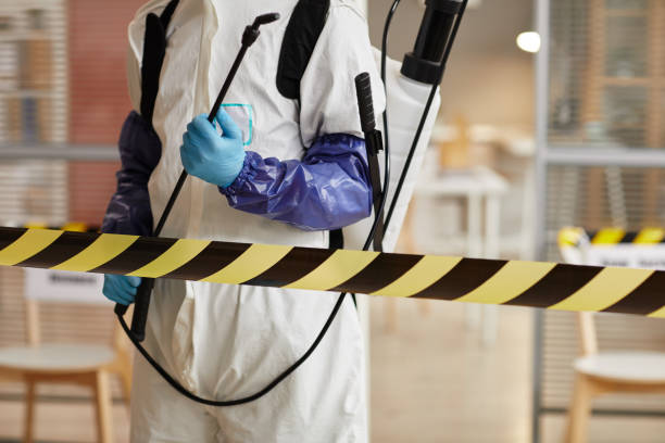 Professional Hoarding Cleanup technician working in Doylestown, PA